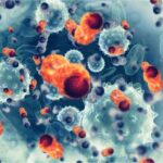 Why Does Alcohol Increase Cancer Risk? Why Does Alcohol Increase Cancer Risk?